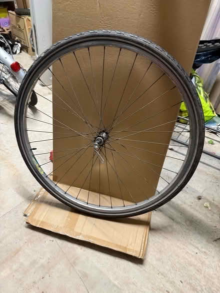 Photo of free Bike wheel (Pant SY10) #1