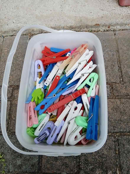 Photo of free Assorted Pegs (Northway GL20) #3
