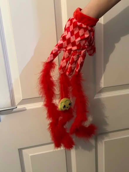 Photo of free Glove teaser cat toy (Jennetts park RG12) #1