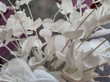 Photo of free Artificial flowers (Claverton) #2