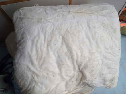 Photo of free Duvet (Colchester CO4) #1