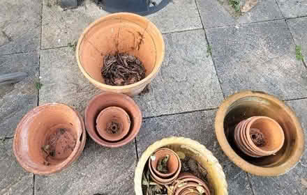 Photo of free Flowerpots (Thatcham RG19) #2