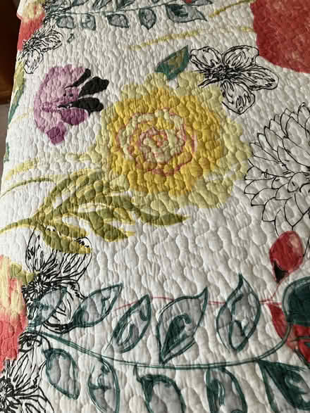Photo of free BEDSPREAD and SHAMS (NoHo 10012) #2