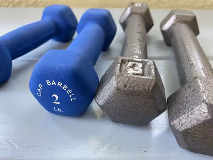 Photo of free Small dumbbell weights (Nr Fresh Pond & Mt Auburn Cem.) #2