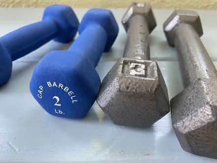 Photo of free Small dumbbell weights (Nr Fresh Pond & Mt Auburn Cem.) #2