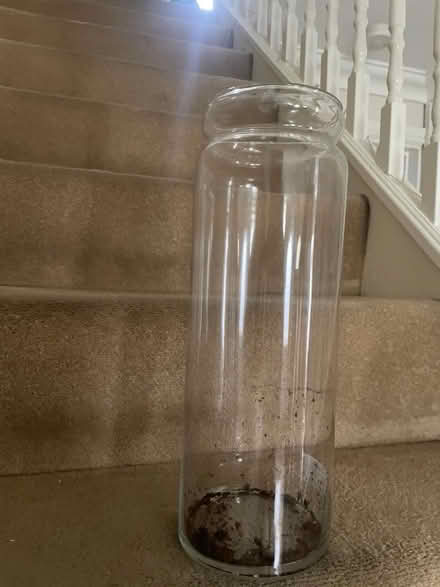 Photo of free Tall glass vase (Edenbridge) #1