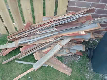 Photo of free Wood (Helensburgh G84) #1