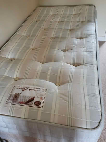 Photo of free 2 x single beds (Godstone) #2
