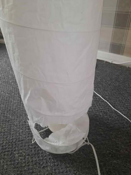 Photo of free Floor lamp (torquay) #1