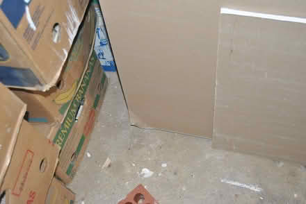 Photo of free plaster board (danbury CM3) #2