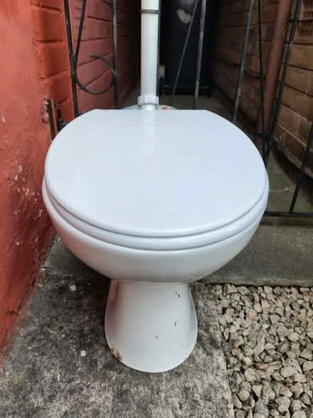 Photo of free New-ish Toilet (Huyton L36) #1