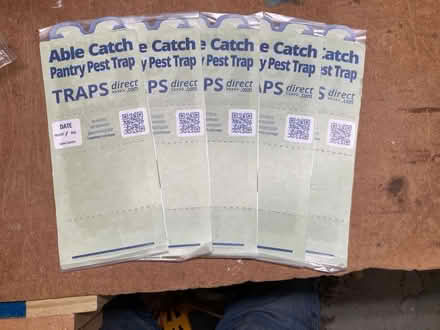 Photo of free Pantry moth traps (Waltham ma) #1
