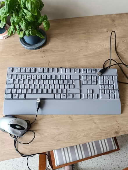 Photo of free Dell keyboard & Mouse (USB connect) (North Dublin Fairview/Clontarf) #1