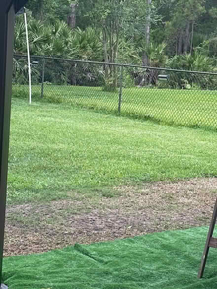 Photo of free chainlink fence (PalmCoast) #1