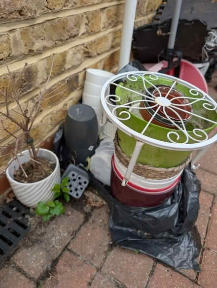 Photo of free Plant pots (Hungerford Road N7 london) #3