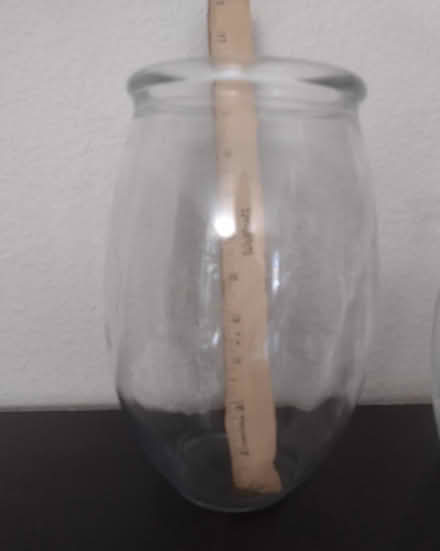 Photo of free XL oval vase (Ballard) #1