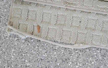 Photo of free Three area rugs - 5'5" square (Aptos, CA) #3