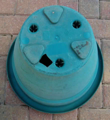 Photo of free Large clay and plastic planters (Mickleover DE3) #4