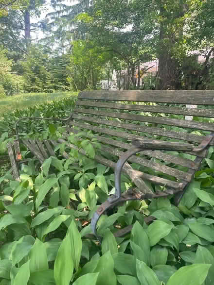 Photo of free Garden bench for scrap (N.Farmington) #1