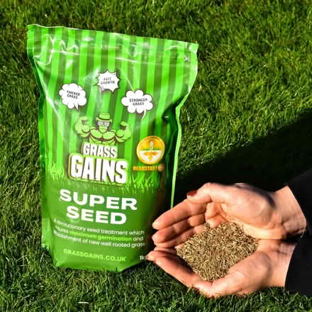 Photo of Grass Seed (Higher Bebington CH63) #1