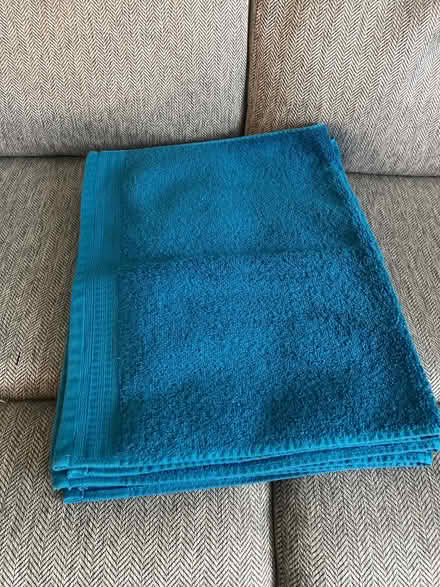 Photo of free towels (Somerset, NJ, off DeMott Lane) #2