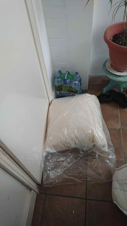 Photo of free Lovely Clean Feather Cushion (CT11) #1