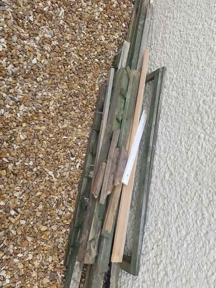 Photo of free Old wood (Northop Hall CH7) #1