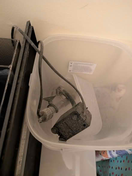 Photo of free Fish tank (N11 3qa nr new Southgate stn) #3