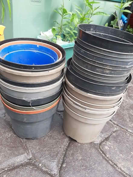 Photo of free Pots (Rayleigh SS6) #2