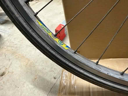Photo of free Bike wheel (Pant SY10) #3
