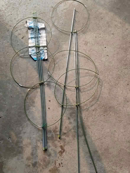 Photo of free Garden tomato plant supports (Richmond Hill) #1