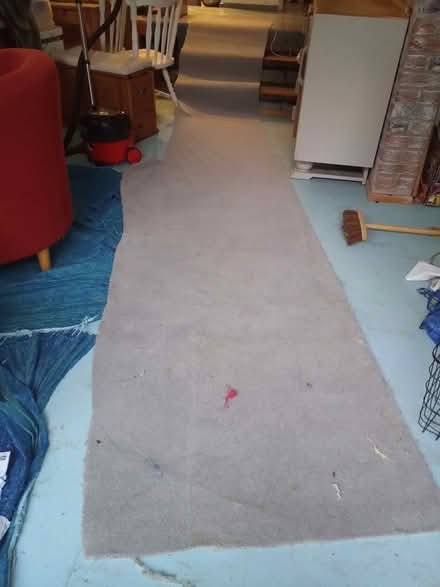 Photo of free Light grey carpet (Colchester CO4) #1