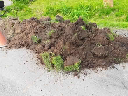 Photo of free soil, curbside, time sensitive (near Britannia Plaza) #1
