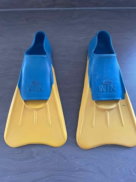 Photo of free Flippers , size 7-9 (Appleton) #1