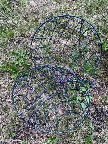 Photo of free Hanging basket (Blackford EH9) #1