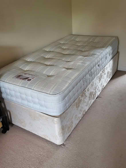 Photo of free 2 x single beds (Godstone) #1