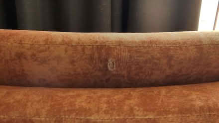 Photo of free Dining Chairs (Ladygrove OX11) #3