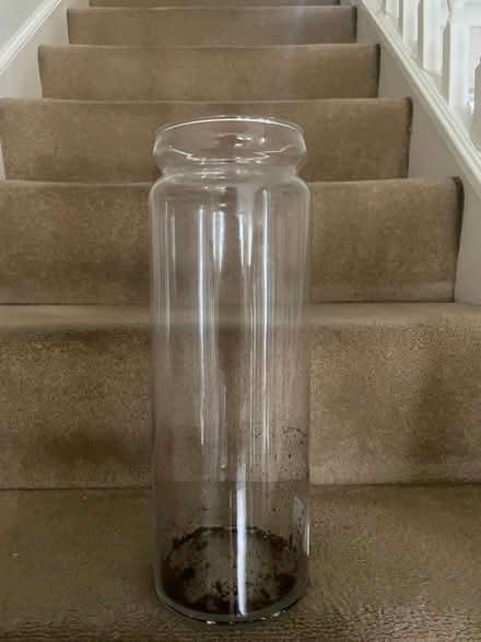 Photo of free Tall glass vase (Edenbridge) #2
