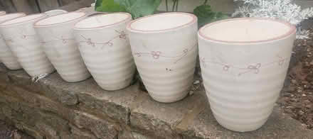 Photo of free Ceramic Plant pots (Canvey Island) #1