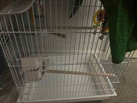 Photo of free Bird cage (Croydon) #1