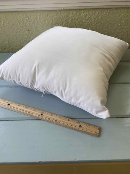 Photo of free Pillow insert (Nr Fresh Pond & Mt Auburn Cem.) #1