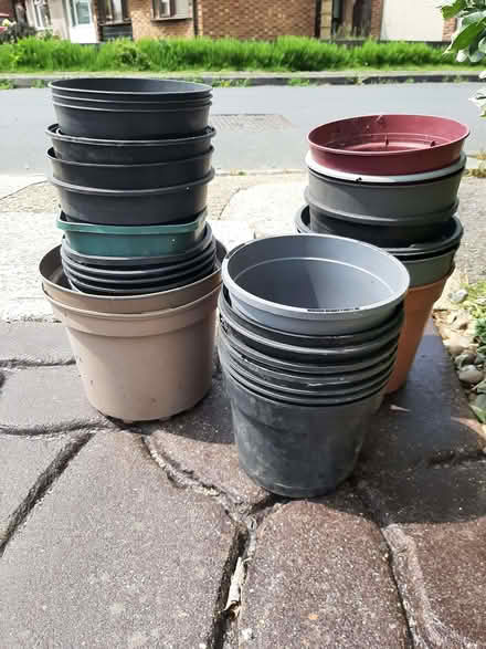 Photo of free Pots (Rayleigh SS6) #1