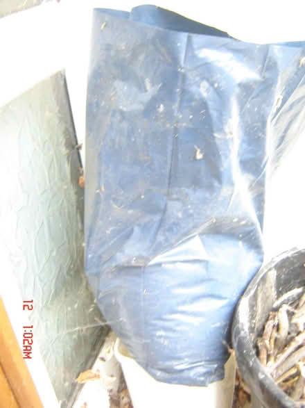 Photo of free Sawdust (Tunley) #2