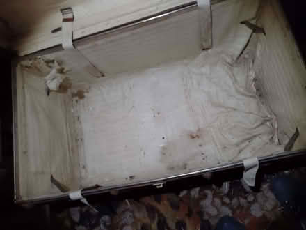 Photo of free Steamer trunk (spaldwick PE28) #1