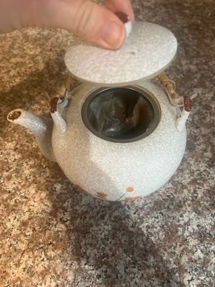 Photo of free Teapot (Mosswood) #1