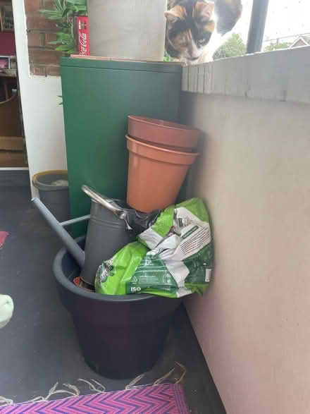 Photo of free Gardening stuff (Ruskin Park SE5) #1