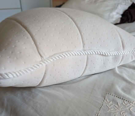 Photo of free Fogarty Memory Foam Pillow (Mold CH7) #2