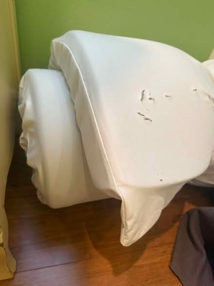 Photo of free 3” mattress toppers (Alameda) (West side) #3