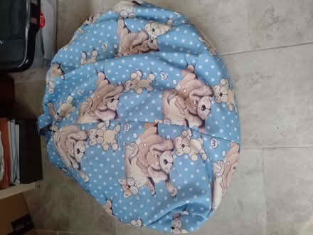 Photo of free Bean Bag (spaldwick PE28) #1