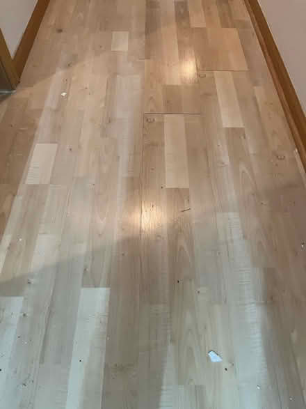 Photo of free Laminate flooring (carpentersville) #1